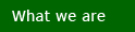 What we are